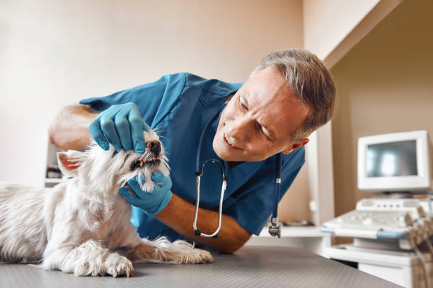 Best Emergency Root Canal Treatment in Westbrook Center, CT